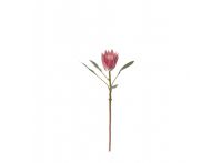 King Protea Stem Pink 53cm